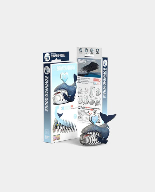084 Bowhead Whale