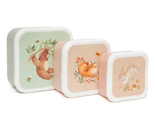 3 Cajas Almuerzo Daisy Bear