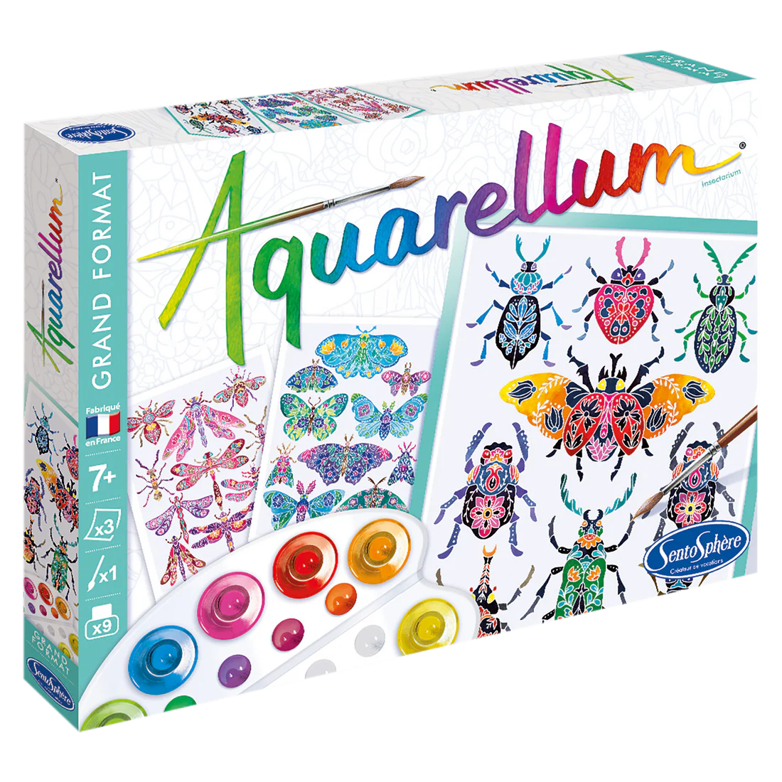 AQUARELLUM - INSECTARIUM