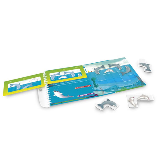 Flippin` Dolphins